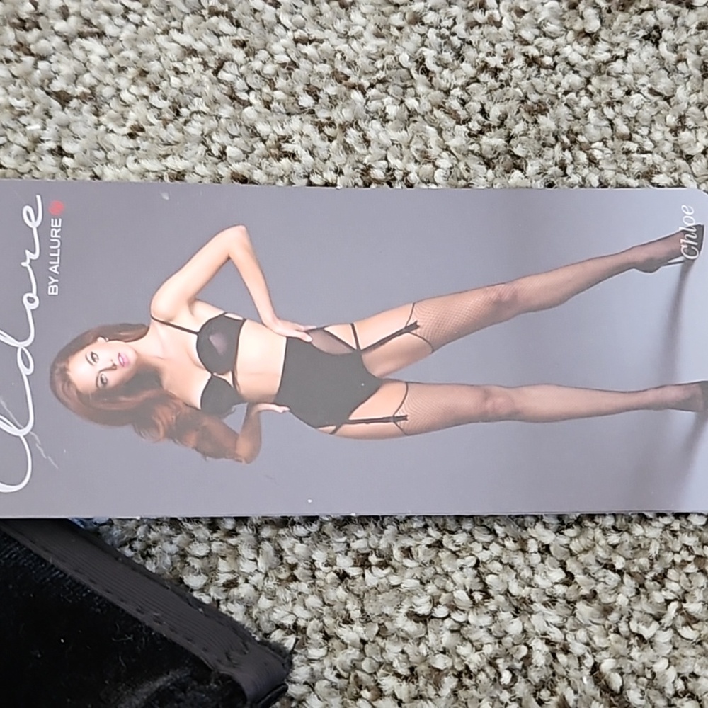 Adore chloe bra and panty set NWT